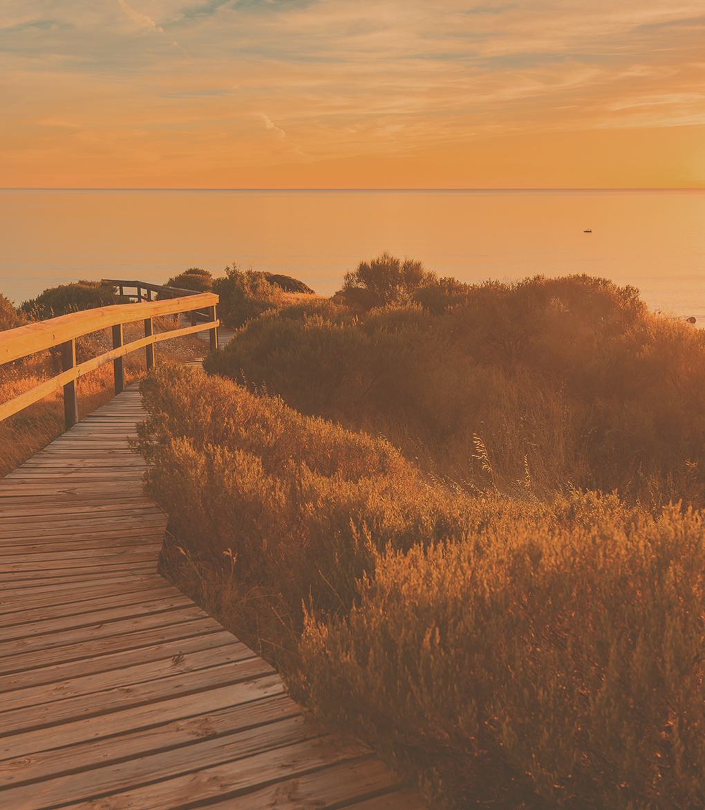 orange_filtered_image