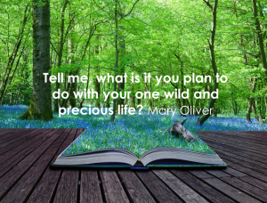 heather-mac2 heather-mac2