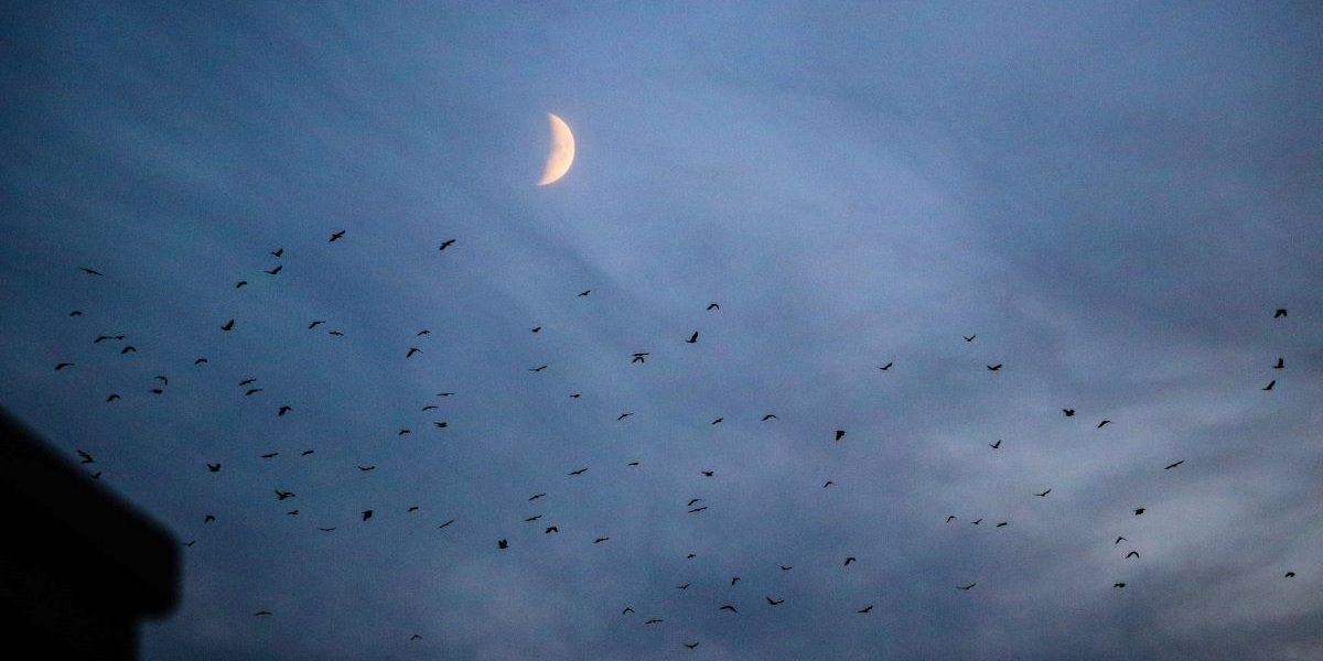 Moon - Gregory Orr