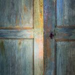 The door - Miroslav Holub