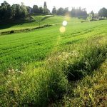 the benefits of mindfulness