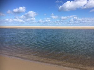 what is mindfulness