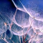 The good news - Thich Nhat Hanh