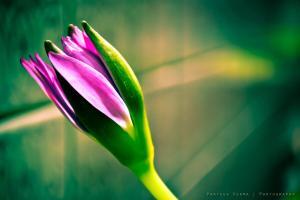 benefit of mindfulness