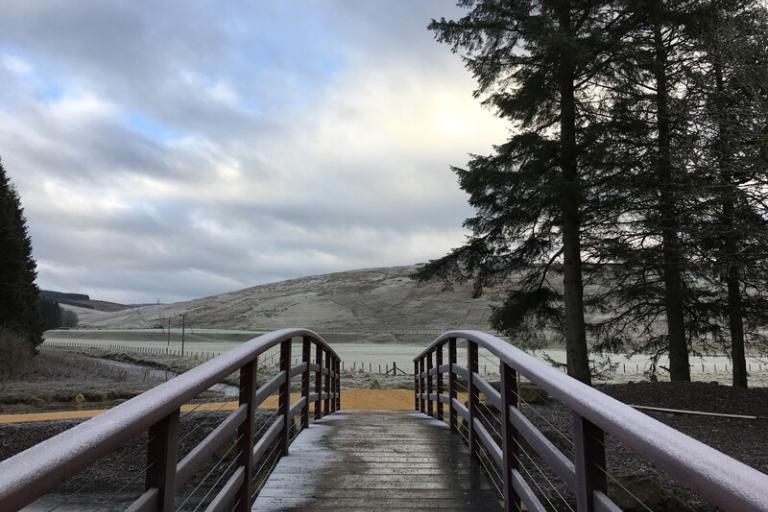 Mindfulness teacher training