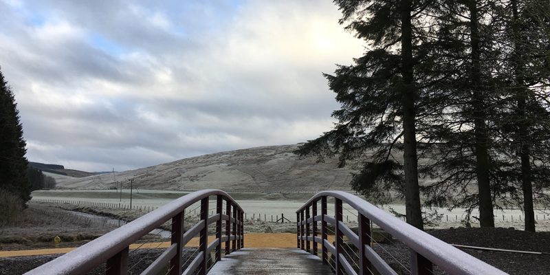 Mindfulness teacher training