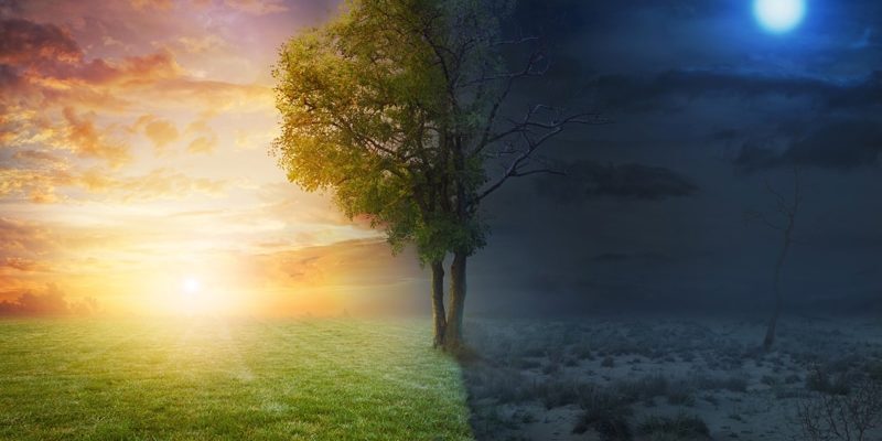 living mindfully with loss