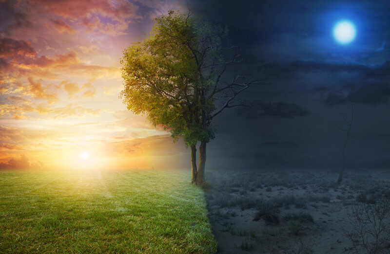 living mindfully with loss