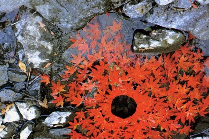In the beginning - David Whyte