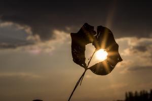 fear and overwhelm