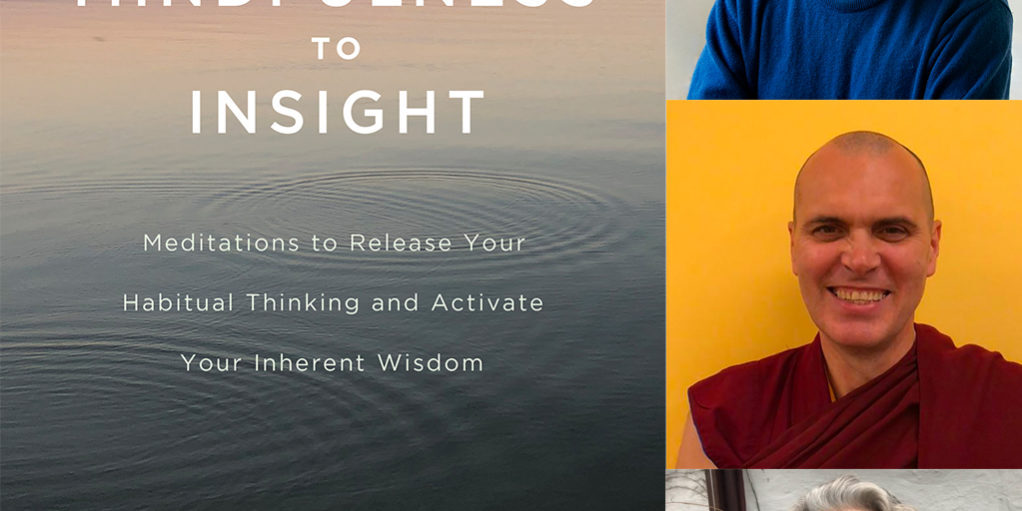 from mindfulness to insight