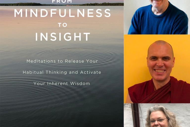 from mindfulness to insight