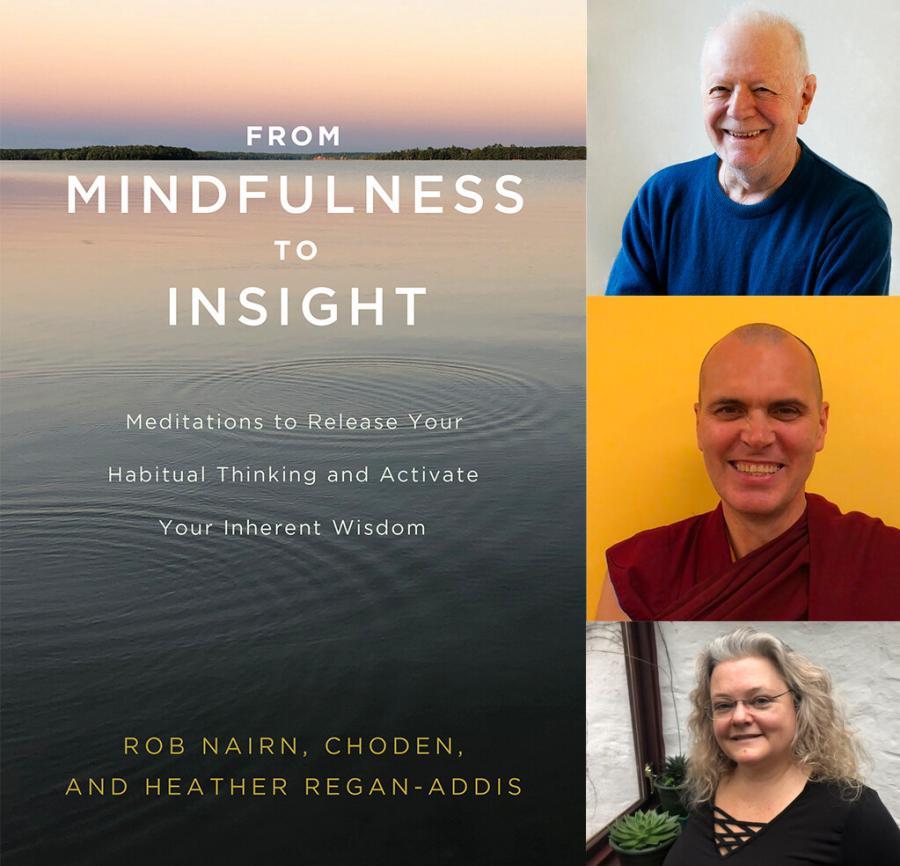 from mindfulness to insight