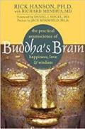 Buddahs Brain