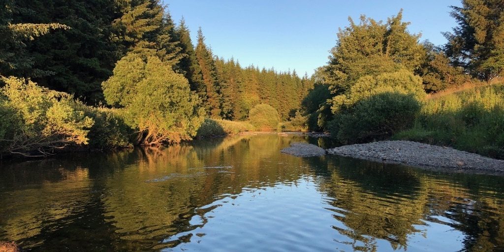 mindfulness in nature