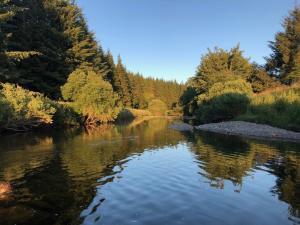 mindfulness in nature