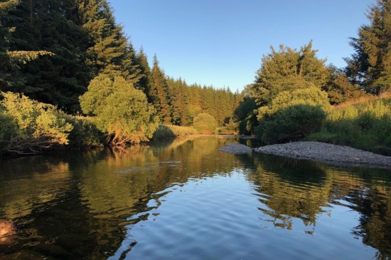 mindfulness in nature