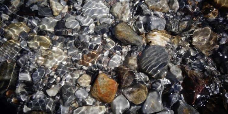 Life is laughing in a pebble - Eveline Beumkes