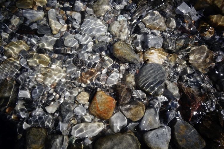 Life is laughing in a pebble - Eveline Beumkes