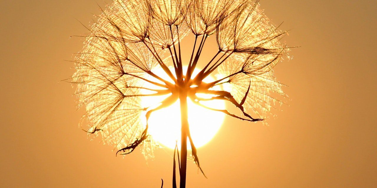 meeting the menopause