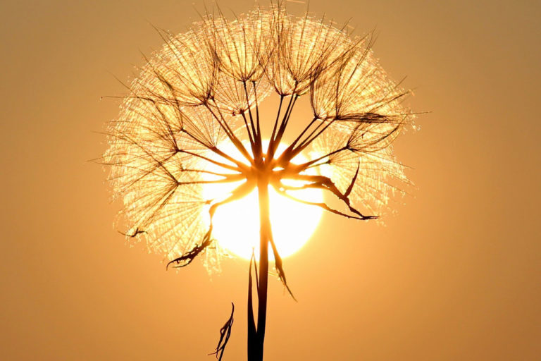 meeting the menopause