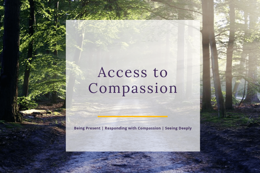 Access to Compassion