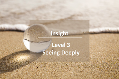 level-3-insight