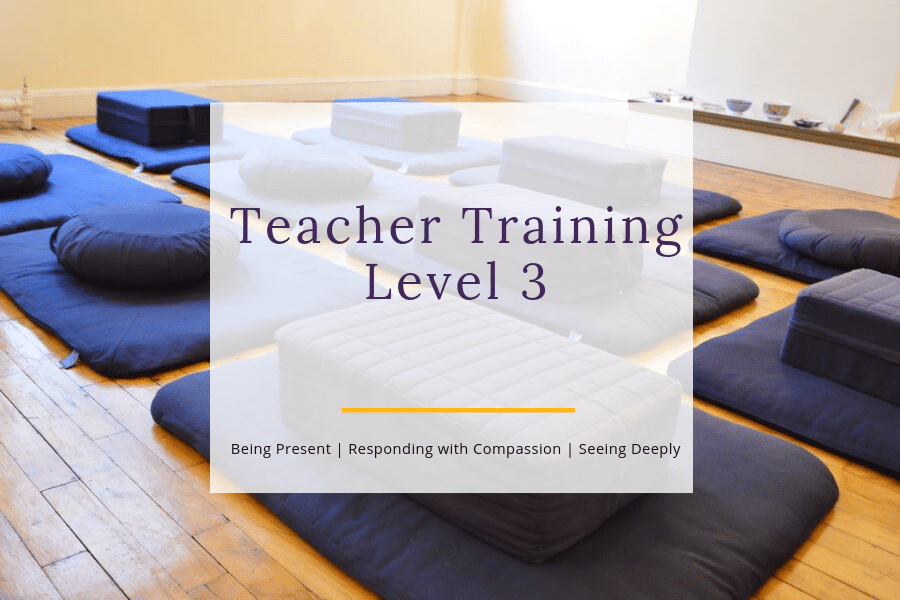 Train to Teach Level 3