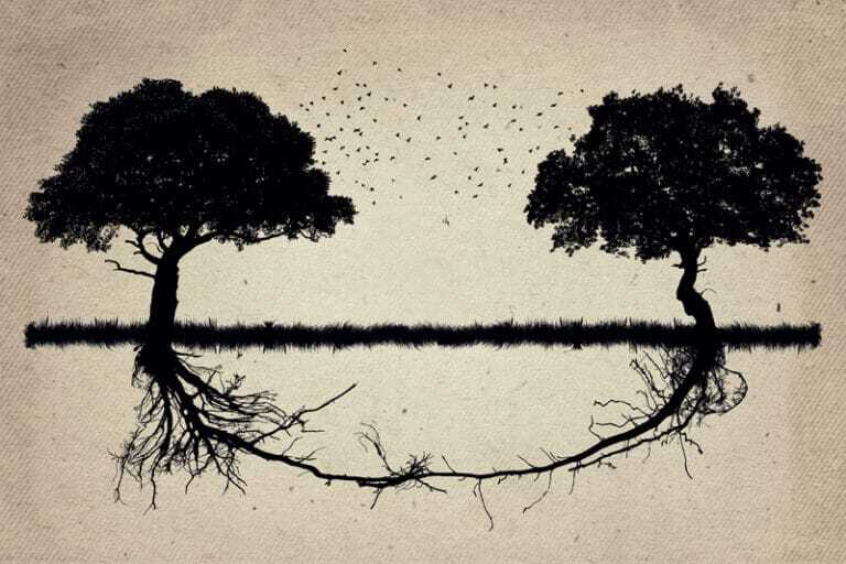 making the obstacles the path