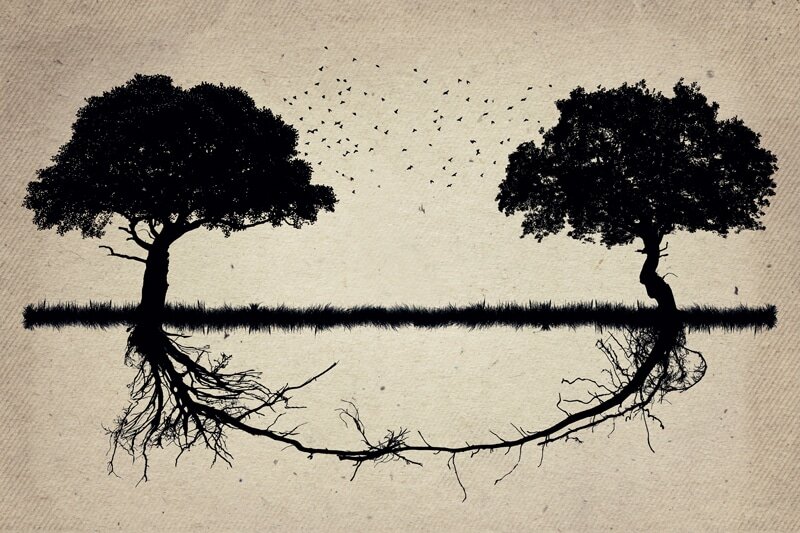 making the obstacles the path