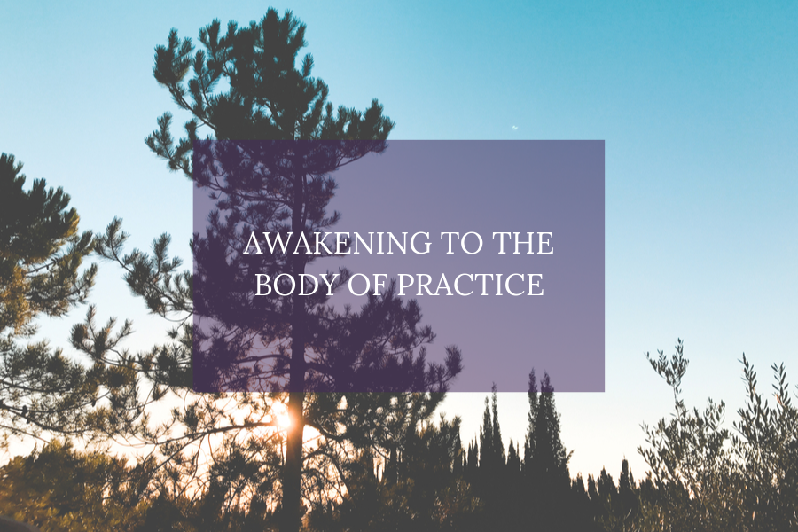 Awakening to the Body of Practice
