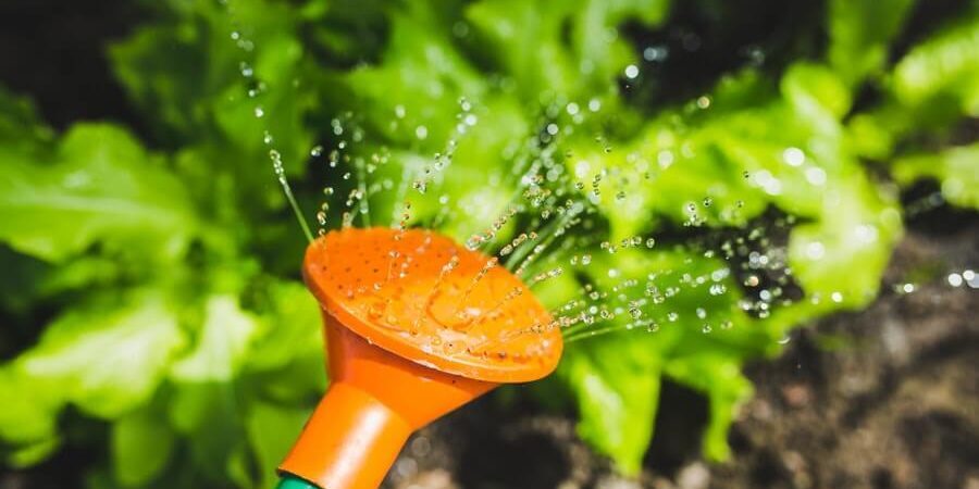 watering can - weekly challenge - 031019
