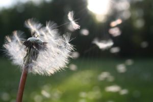 letting-go
