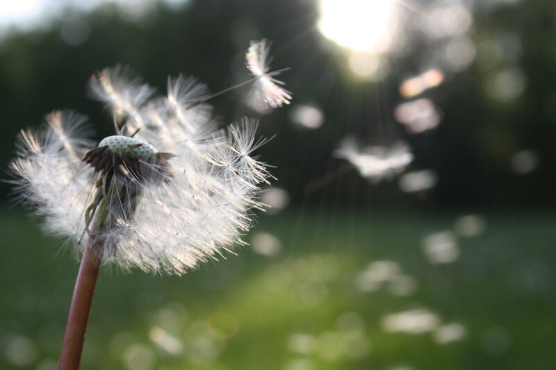 letting-go