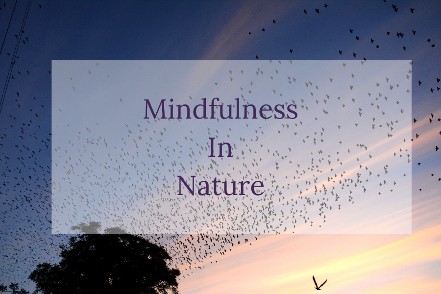 Mindfulness in Nature