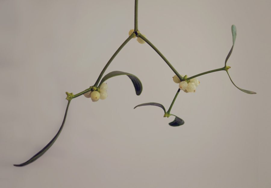Mistletoe – Walter De La Mare