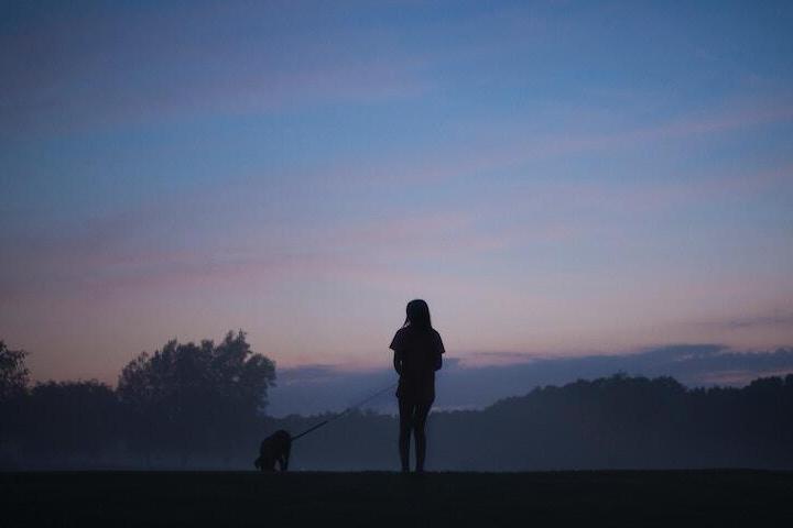 dog walking
