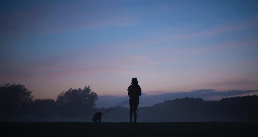 dog walking