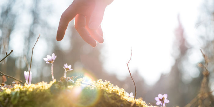 allowing-ourselves-to-be-human allowing-ourselves-to-be-human
