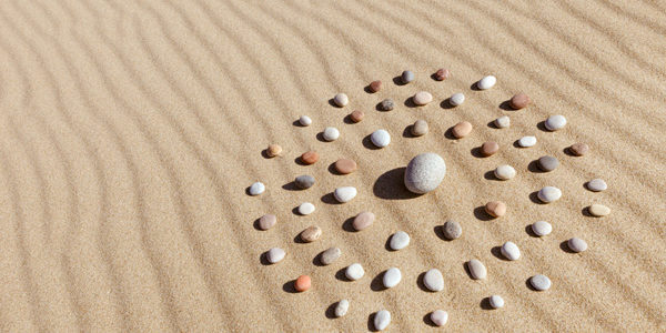 level 1 Mindfulness
