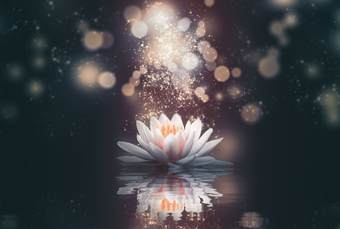 Integrating Compassion & Wisdom