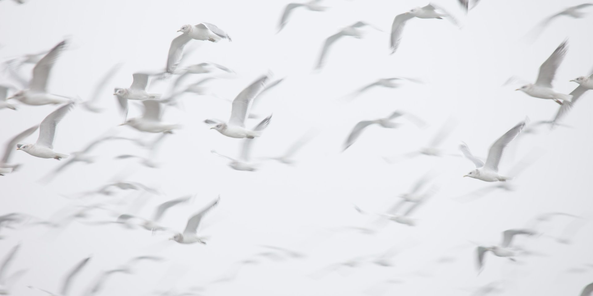 Letting go - Stewart Mercer