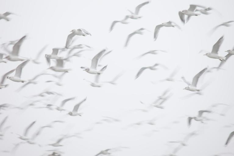 Letting go - Stewart Mercer