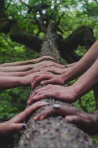 Reflections on Mindfulness for Men and Women Session