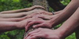 Reflections on Mindfulness for Men and Women Session