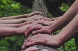 Reflections on Mindfulness for Men and Women Session