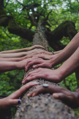Reflections on Mindfulness for Men and Women Session