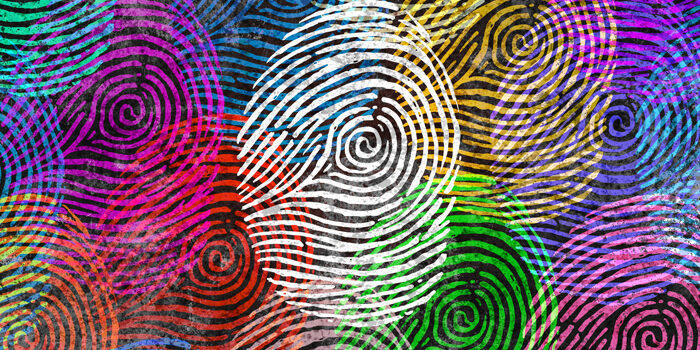 mindfulness based inclusion training