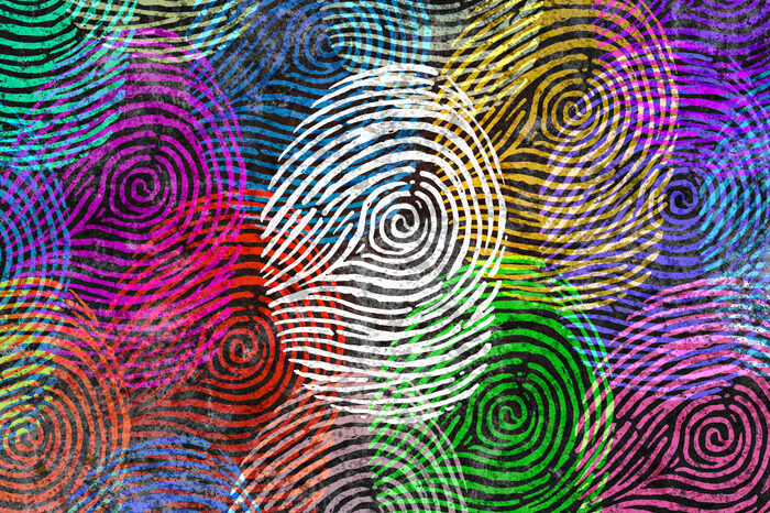 mindfulness based inclusion training
