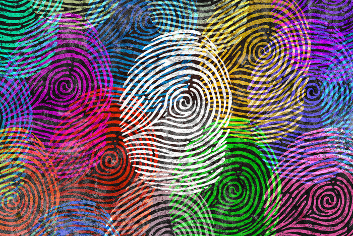 mindfulness based inclusion training